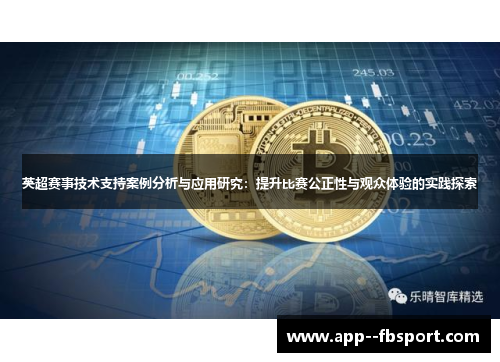 英超赛事技术支持案例分析与应用研究：提升比赛公正性与观众体验的实践探索